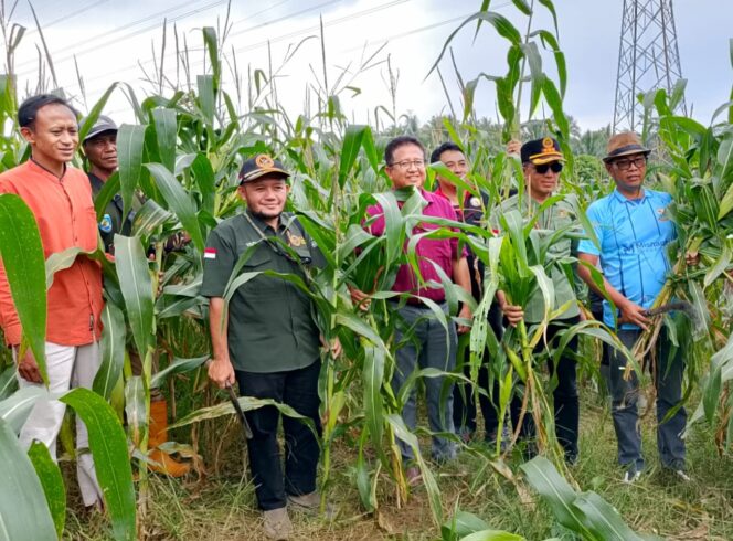 
					Dari Hamparan Jagung ke Lompatan Ekonomi Desa: Panen Raya Ranji Sejahtera Jadi Model Tata Kelola Modern